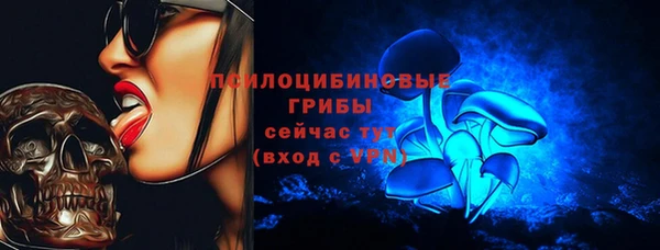 ГАЛЛЮЦИНОГЕННЫЕ ГРИБЫ Бугульма