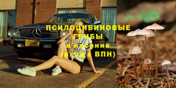 ГАЛЛЮЦИНОГЕННЫЕ ГРИБЫ Бугульма