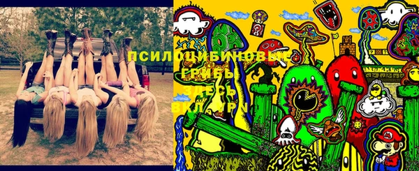 ГАЛЛЮЦИНОГЕННЫЕ ГРИБЫ Бугульма