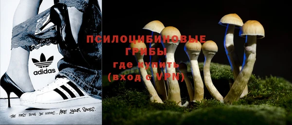 ПСИЛОЦИБИНОВЫЕ ГРИБЫ Бронницы